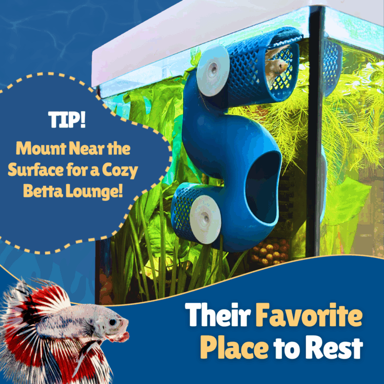 Perky Fins® Betta Fish Tunnel
