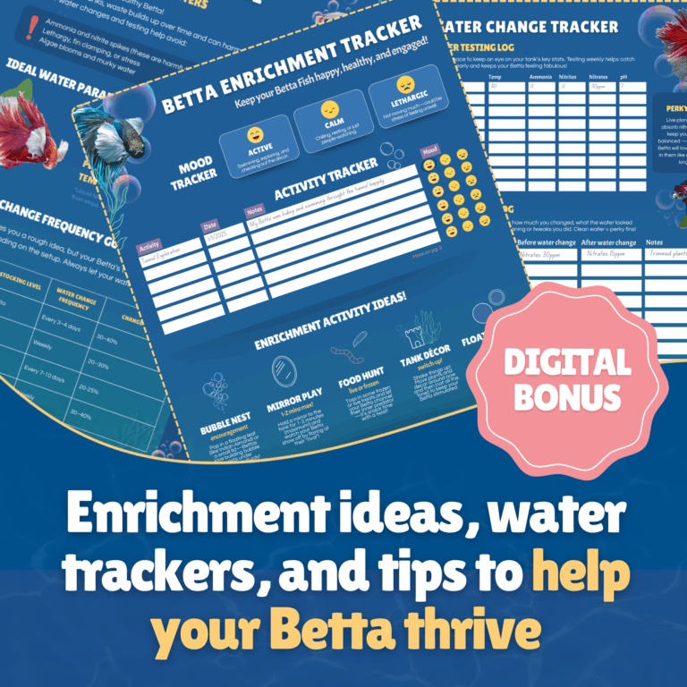 Perky Fins® Betta Fish Tunnel