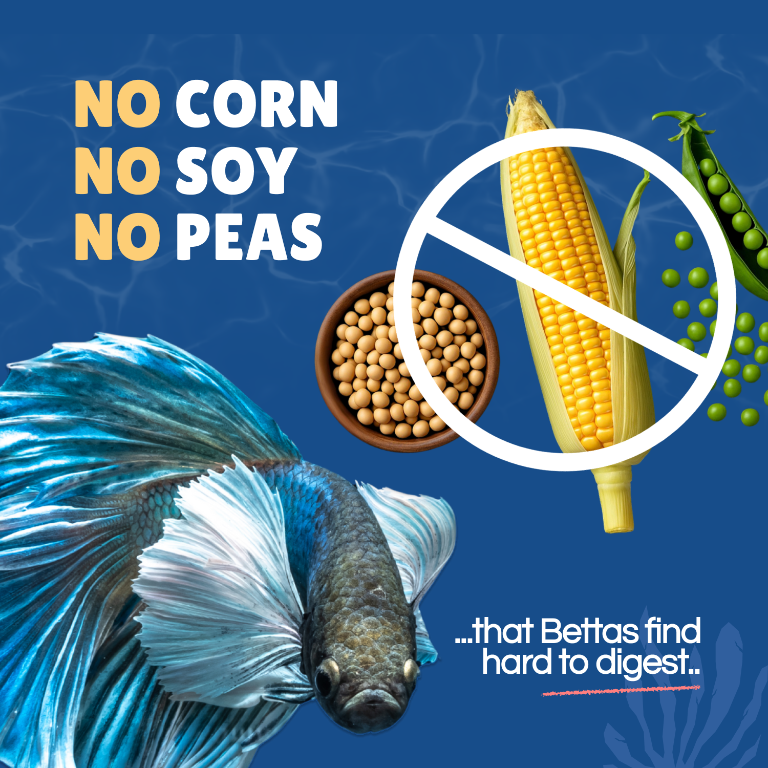 Perky Fins® Betta Boost Pops