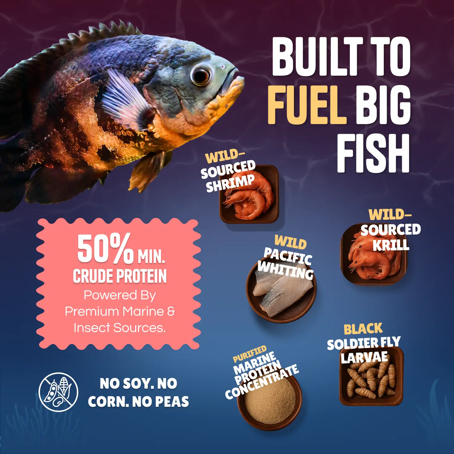 Perky Fins® Cichlid Bundle