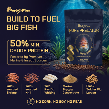 Perky Fins® Pure Predator Cichlid Fish Food Pellets
