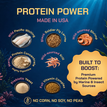 Perky Fins® Betta Boost Pops