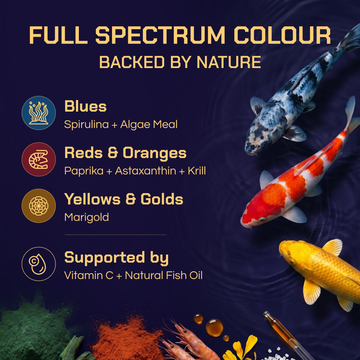 Koi Prestige — Premium All-Season Koi Food