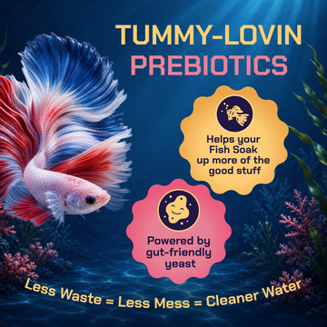 Perky Fins® Betta Boost Pops