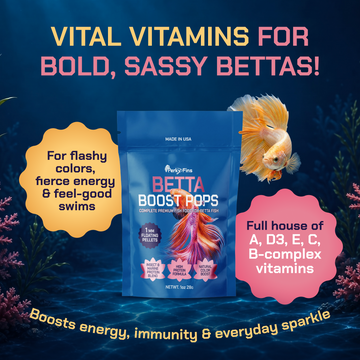 Perky Fins® Betta Boost Pops