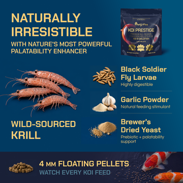 Koi Prestige — Premium All-Season Koi Food