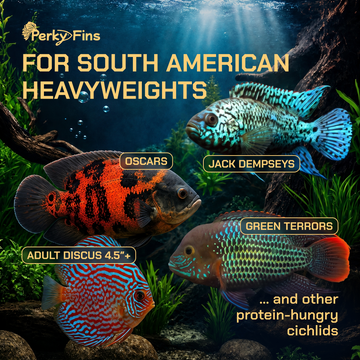 Perky Fins® Pure Predator Cichlid Fish Food Pellets