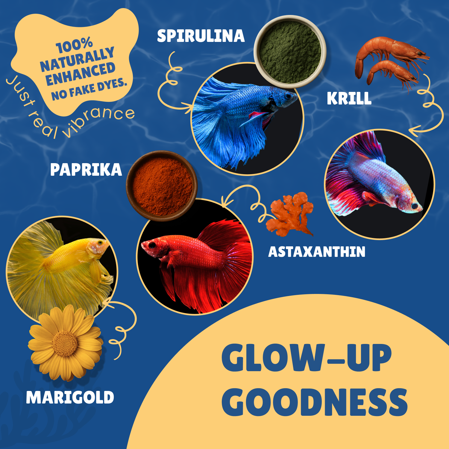 Perky Fins® Betta Boost Pops