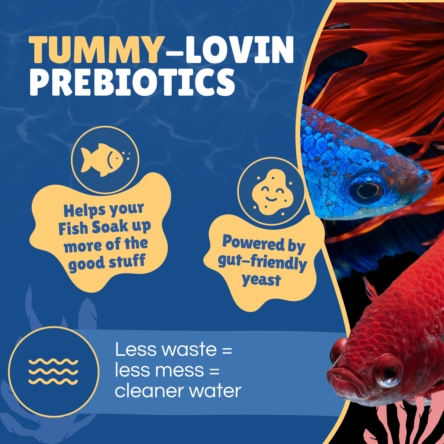 Perky Fins® Betta Boost Pops