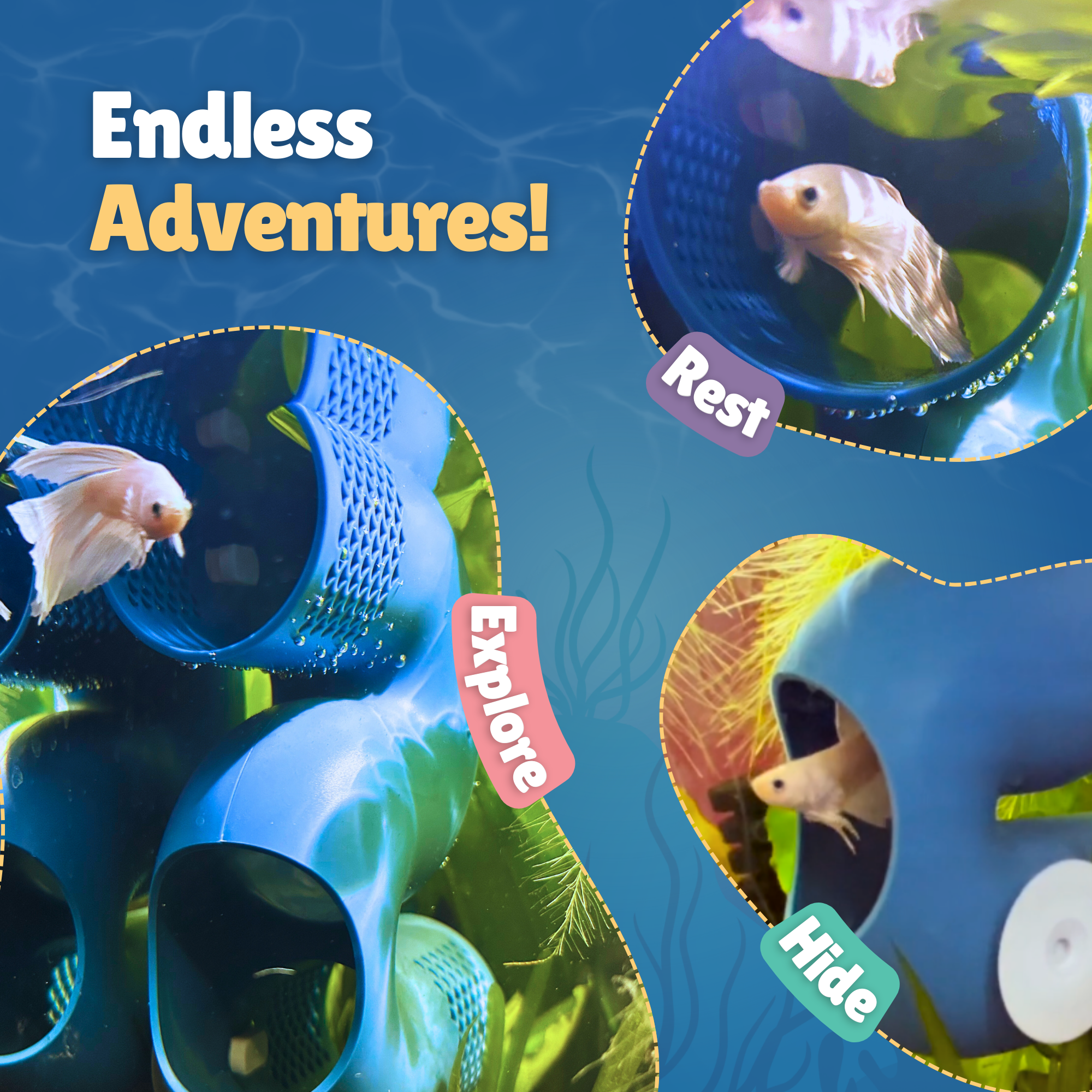 Perky Fins® Betta Fish Tunnel