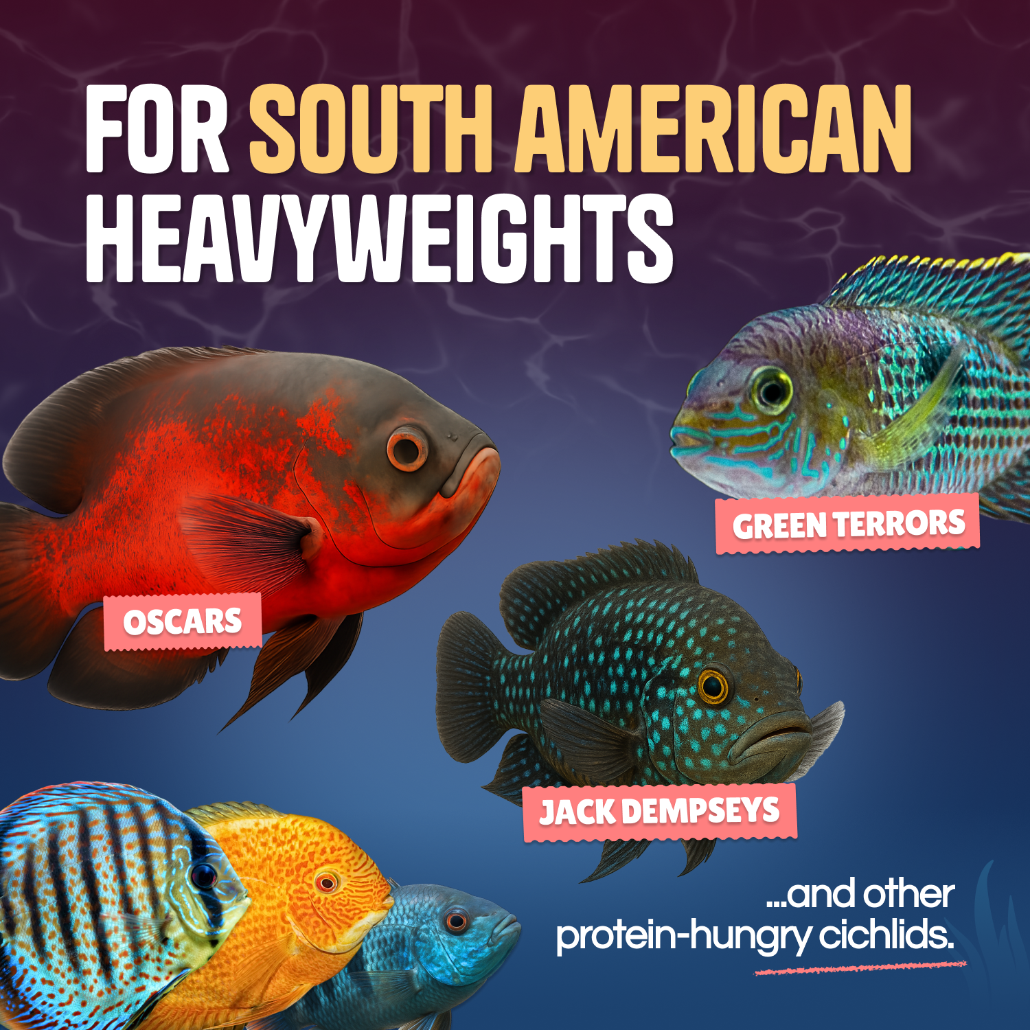 Perky Fins® Pure Predator Cichlid Fish Food Pellets